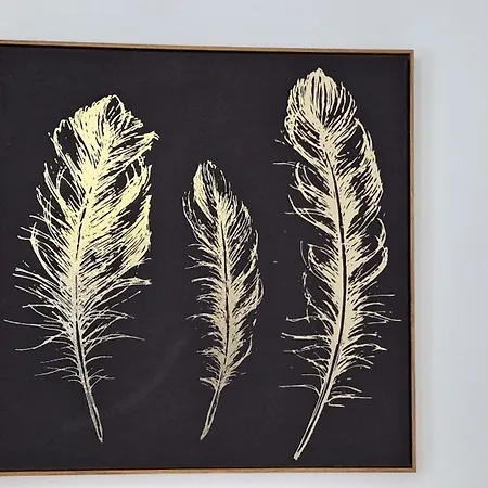 Appartement Royan - Entièrement Rénové Confort – Idéal ! Royan